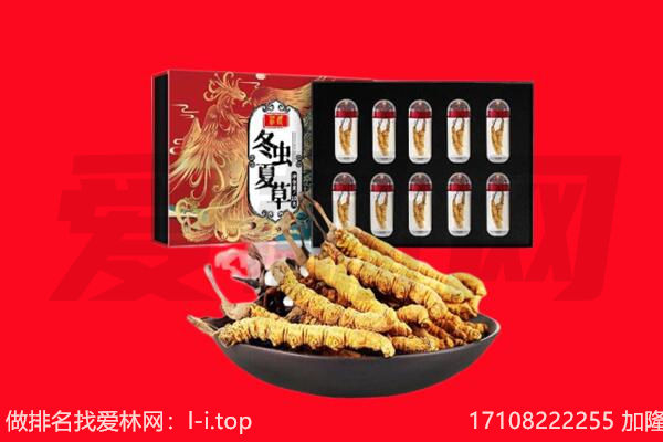 鄂尔多斯回收虫草.jpg
